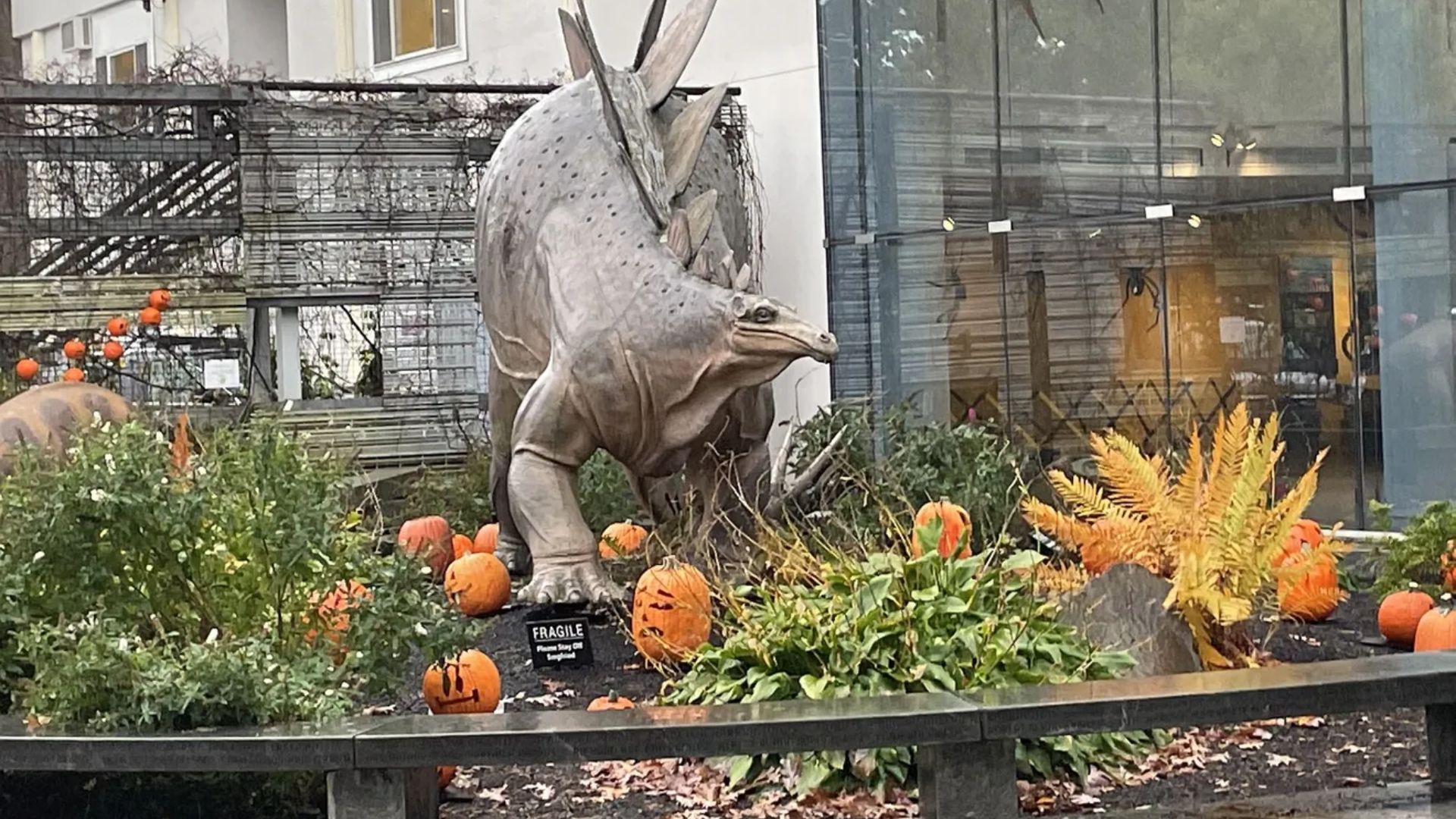 Toddler viewing glowing pumpkin displays on an accessible path at the EcoTarium